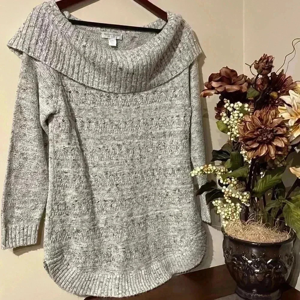 Christopher & Banks Sweater
